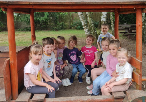 Zdjęcie 11 na 12