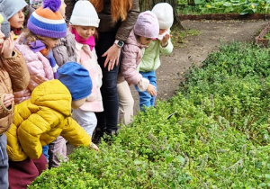 Dzieci słuchają informacji na temat popularnych ziół