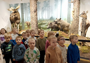 Wystawa zwierząt leśnych